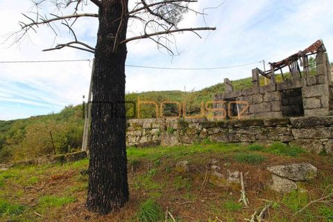 Gård i Amarante, Porto, Amarante - € 100 000 | Ref: 00656FR - foto 16