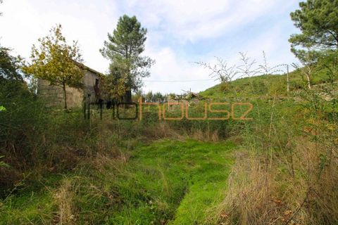 Gård i Amarante, Porto, Amarante - € 100 000 | Ref: 00656FR - foto 18