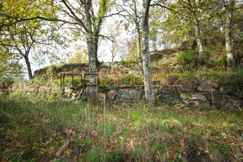 Gård i Amarante, Porto, Amarante - € 100 000 | Ref: 00656FR - foto 21