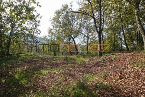 Gård i Amarante, Porto, Amarante - € 100 000 | Ref: 00656FR - foto 22