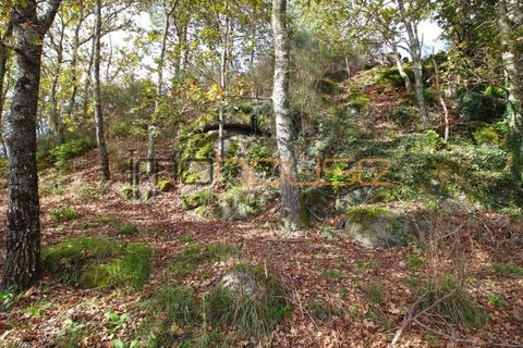 Gård i Amarante, Porto, Amarante - € 100 000 | Ref: 00656FR - foto 24