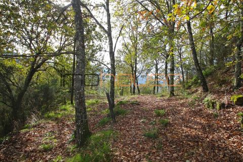 Gård i Amarante, Porto, Amarante - € 100 000 | Ref: 00656FR - foto 25