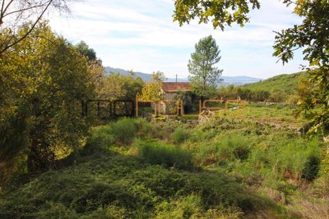 Gård i Amarante, Porto, Amarante - € 100 000 | Ref: 00656FR - foto 27
