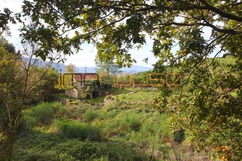 Gård i Amarante, Porto, Amarante - € 100 000 | Ref: 00656FR - foto 28