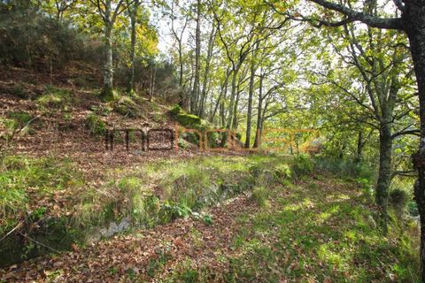 Gård i Amarante, Porto, Amarante - € 100 000 | Ref: 00656FR - foto 29