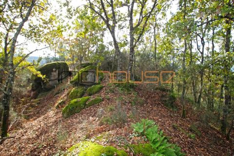 Gård i Amarante, Porto, Amarante - € 100 000 | Ref: 00656FR - foto 30
