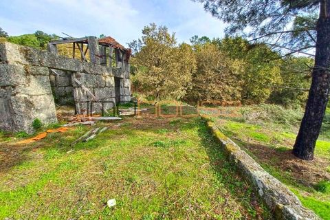 Gård i Amarante, Porto, Amarante - € 100 000 | Ref: 00656FR - foto 17