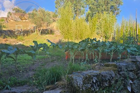 Villa i Cabeceiras de Basto, Braga, Cabeceiras de Basto - € 30.000 | Ref: CAS_136 - foto 3