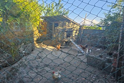 Villa i Cabeceiras de Basto, Braga, Cabeceiras de Basto - € 30.000 | Ref: CAS_136 - foto 5