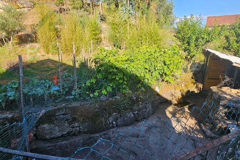 Villa i Cabeceiras de Basto, Braga, Cabeceiras de Basto - € 30.000 | Ref: CAS_136 - foto 6