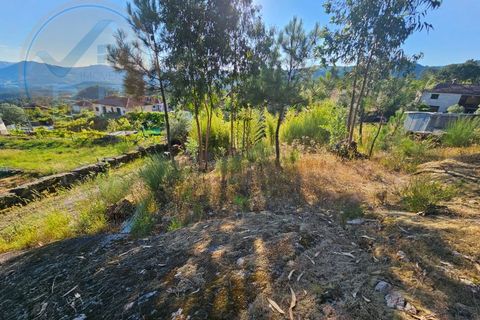Villa i Cabeceiras de Basto, Braga, Cabeceiras de Basto - € 30.000 | Ref: CAS_136 - foto 19