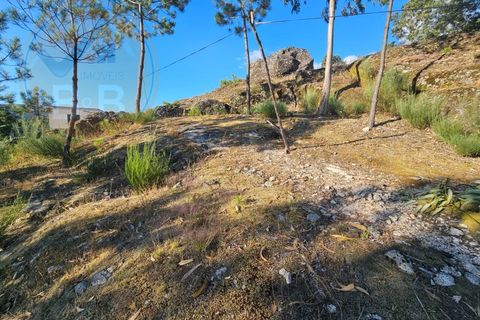 Villa i Cabeceiras de Basto, Braga, Cabeceiras de Basto - € 30.000 | Ref: CAS_136 - foto 20