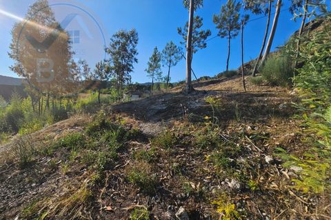 Villa i Cabeceiras de Basto, Braga, Cabeceiras de Basto - € 30.000 | Ref: CAS_136 - foto 21