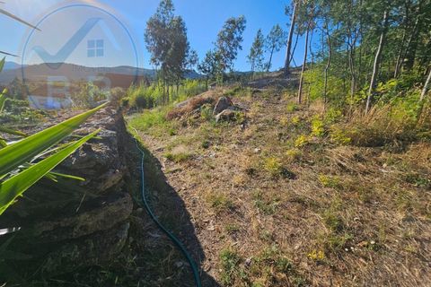 Villa i Cabeceiras de Basto, Braga, Cabeceiras de Basto - € 30.000 | Ref: CAS_136 - foto 22