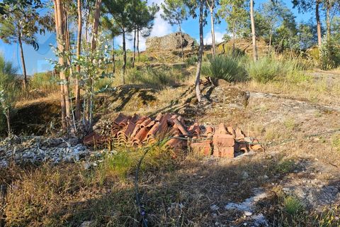 Villa i Cabeceiras de Basto, Braga, Cabeceiras de Basto - € 30.000 | Ref: CAS_136 - foto 23