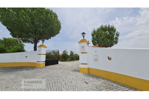 Erhvervsejendom i Alter do Chao, Portalegre, Alter do Chao - € 950.000 | Ref: HOT_134RSKWPT-001772 - foto 12