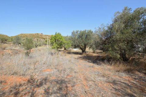 Cortijo i Bedar, Almeria, Bedar - € 275.000 | Ref: OLV2035 - foto 8