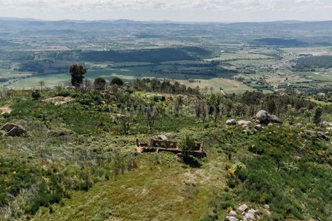 Farm i Covilha, Castelo Branco, Covilha - € 40.000 | Ref: 111180261 - foto 2