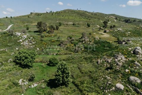 Farm i Covilha, Castelo Branco, Covilha - € 40.000 | Ref: 111180261 - foto 4