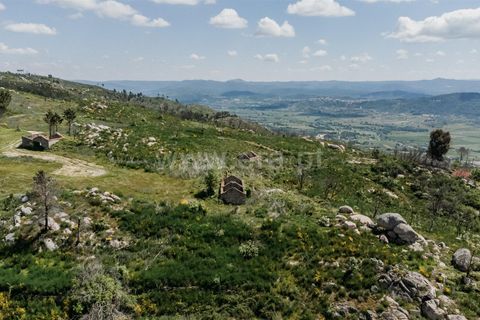 Farm i Covilha, Castelo Branco, Covilha - € 40.000 | Ref: 111180261 - foto 5