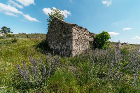 Farm i Covilha, Castelo Branco, Covilha - € 40.000 | Ref: 111180261 - foto 1