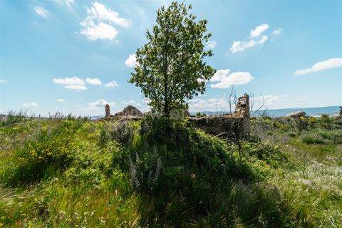 Farm i Covilha, Castelo Branco, Covilha - € 40.000 | Ref: 111180261 - foto 6