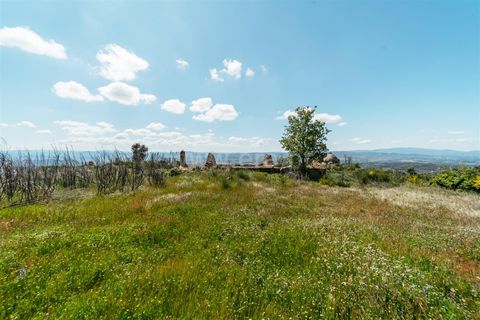 Farm i Covilha, Castelo Branco, Covilha - € 40.000 | Ref: 111180261 - foto 7