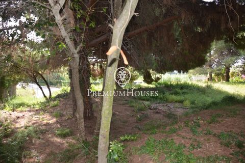 Helårsgrund i Cabrera De Mar, Barcelona, Cabrera De Mar - € 525.000 | Ref: PH103169/3699 - foto 6