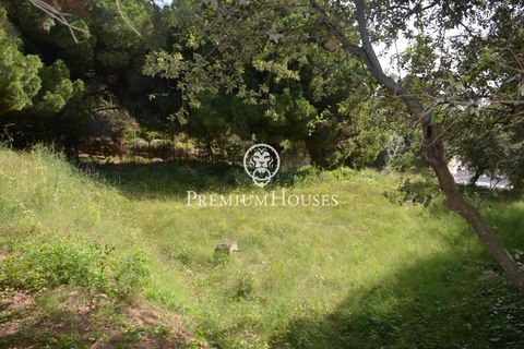 Helårsgrund i Cabrera De Mar, Barcelona, Cabrera De Mar - € 525.000 | Ref: PH103169/3699 - foto 10