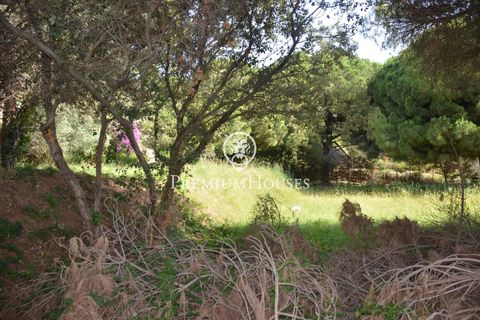 Helårsgrund i Cabrera De Mar, Barcelona, Cabrera De Mar - € 525.000 | Ref: PH103169/3699 - foto 11