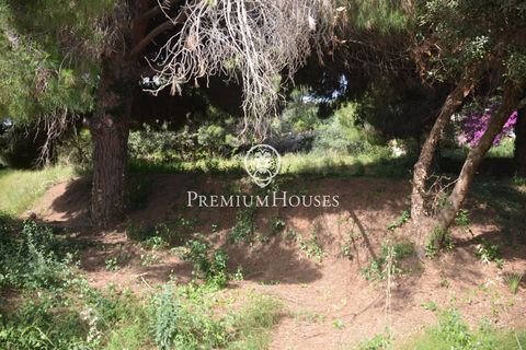 Helårsgrund i Cabrera De Mar, Barcelona, Cabrera De Mar - € 525.000 | Ref: PH103169/3699 - foto 18
