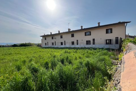 Terra a Chiopris-Viscone, Udine, Chiopris-Viscone - € 209.000 | Ref: D-1072 - foto 2
