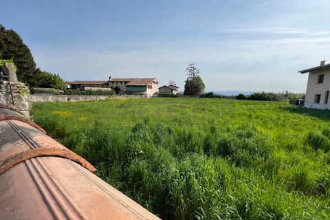Terra a Chiopris-Viscone, Udine, Chiopris-Viscone - € 209.000 | Ref: D-1072 - foto 3