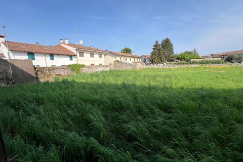 Terra a Chiopris-Viscone, Udine, Chiopris-Viscone - € 209.000 | Ref: D-1072 - foto 4
