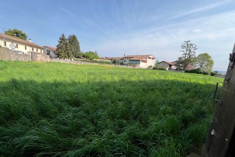 Terra a Chiopris-Viscone, Udine, Chiopris-Viscone - € 209.000 | Ref: D-1072 - foto 5