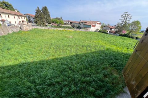 Terra a Chiopris-Viscone, Udine, Chiopris-Viscone - € 209.000 | Ref: D-1072 - foto 6
