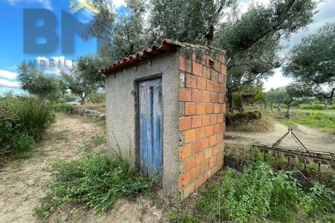 Helårsgrund i Castelo Branco, Castelo Branco, Castelo Branco - € 9.000 | Ref: 4691 - foto 3