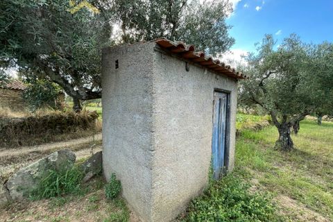 Helårsgrund i Castelo Branco, Castelo Branco, Castelo Branco - € 9.000 | Ref: 4691 - foto 4