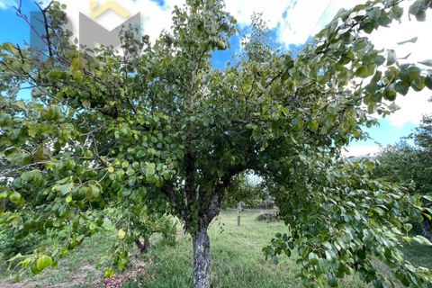 Helårsgrund i Castelo Branco, Castelo Branco, Castelo Branco - € 9.000 | Ref: 4691 - foto 5