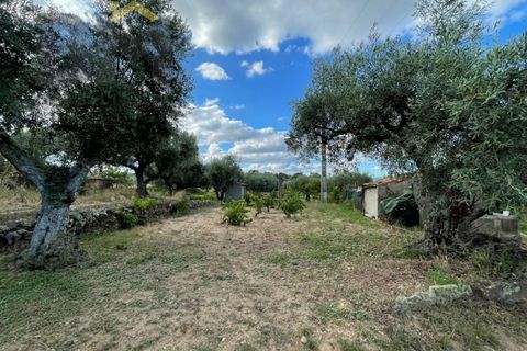 Helårsgrund i Castelo Branco, Castelo Branco, Castelo Branco - € 9.000 | Ref: 4691 - foto 15