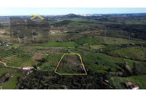 Helårsgrund i Castelo Branco, Castelo Branco, Castelo Branco - € 20.000 | Ref: 4687 - foto 1