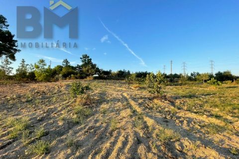 Helårsgrund i Castelo Branco, Castelo Branco, Castelo Branco - € 20.000 | Ref: 4687 - foto 5