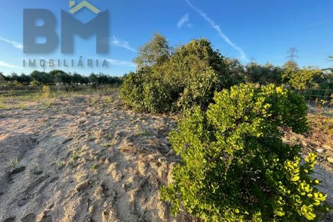 Helårsgrund i Castelo Branco, Castelo Branco, Castelo Branco - € 20.000 | Ref: 4687 - foto 13