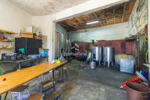 Villa a Soure, Coimbra, Soure - € 225.000 | Ref: 1556/AV - foto 40
