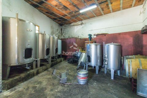 Villa a Soure, Coimbra, Soure - € 225.000 | Ref: 1556/AV - foto 41