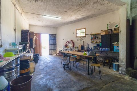 Villa a Soure, Coimbra, Soure - € 225.000 | Ref: 1556/AV - foto 42