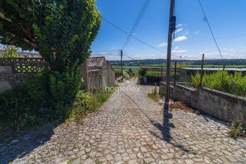 Villa a Soure, Coimbra, Soure - € 225.000 | Ref: 1556/AV - foto 43