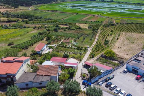 Villa a Soure, Coimbra, Soure - € 225.000 | Ref: 1556/AV - foto 48