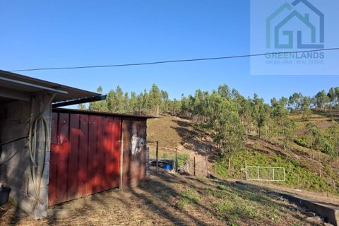 Landejendom i Arganil, Coimbra, Arganil - € 30.000 | Ref: 600 - foto 3