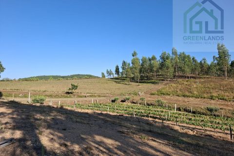 Landejendom i Arganil, Coimbra, Arganil - € 30.000 | Ref: 600 - foto 4